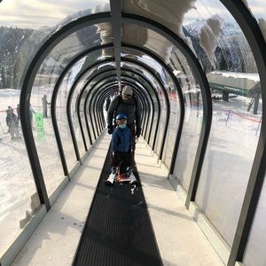 Meet your Posher, Fawn